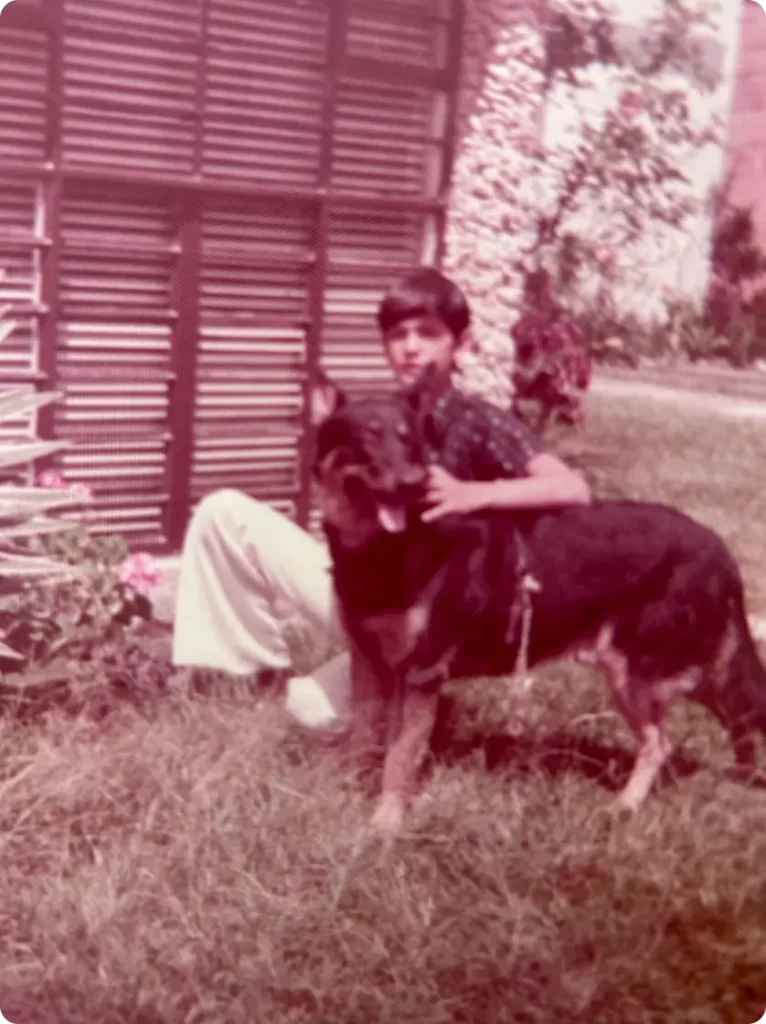 El Pastor Holandés (Dutch Shepherd o Hollandse Herdershond)